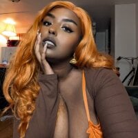 SiminFox webcam model