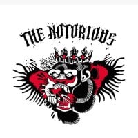 CAT-THENOTORIOUS 아바타 사진