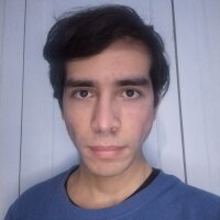 Mega15_CL webcam