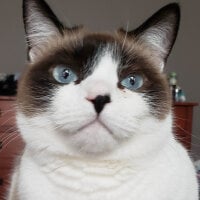 YourNewFling's Profile Pic