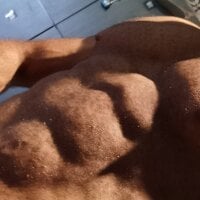 Модель Commandermuscle