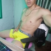VERGOSAN18CM webcam