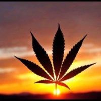 kt69 Immagine Avatar