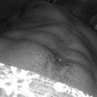 pilaalta288 webcam