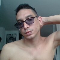 GatoSer webcam