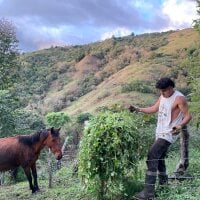 sky-wolves webcam model