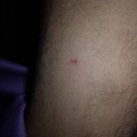 Portable_Airlane Adlı Modelin Çevrimdışı Sohbet Odası