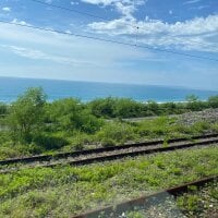 ZuWei31377: изображение аватарки