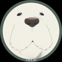 pbvd8233: изображение аватарки