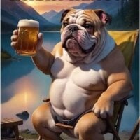 BigBushBoy 頭像圖片