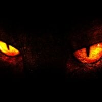 Аватар MaybeAlittleBitCrazy