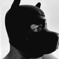 Chatroom hors ligne de biganalgape
