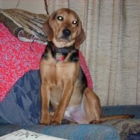 DlMikey's Avatar Pic