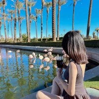 xinyue8899 offline chatrum