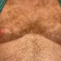 gingerbearchubdad অফলাইন চ্যাট রুম