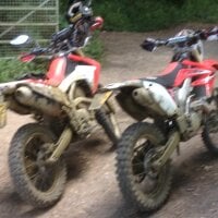 bikerboblees' Avatar Pic