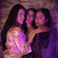 ห้องแชทออฟไลน์ของ thepowerfulgirlss_