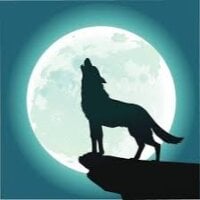 Wolfyy_kulfyy