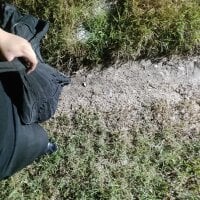 anonimo117_'s Offline Chat Room