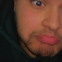 BornniTaxa webcam