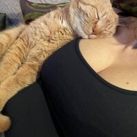 huge_tits52 webcam