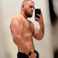 Bear_bear_