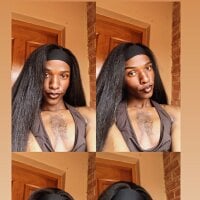 Trans_fairy webcam