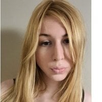 Noelqt webcam