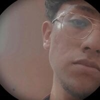 Fabpingon webcam