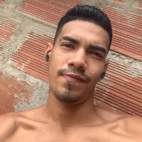 BigThingsFox webcam