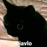 Elgarcia123's Avatar Pic