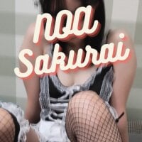 ---Noa-Sakurai---