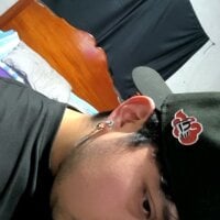 21c233 webcam