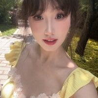 Boa0105 webcam model