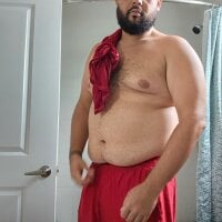 bottombeargaming webcam