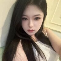 ASas520 webcam model