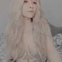 AlternativePolly webcam