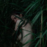 sunny_cutie's Offline Chat Room