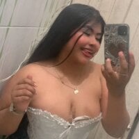 GalileaWC webcam model