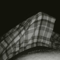 dildodelight's Avatar Photo