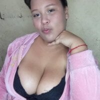 Isastrip webcam model