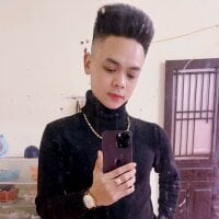 Lam-Phonix webcam model