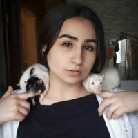 didi__books' Offline Chat Room