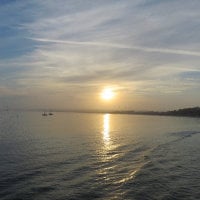 Image d’avatar de wickedpickle69