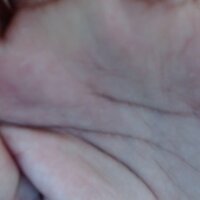 poisonous_snake_ webcam