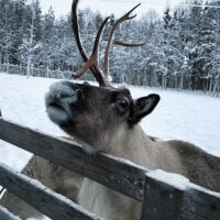 XIAOYANGCONG-BEST's Profile Pic