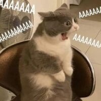 JessicaLange's Avatar Pic