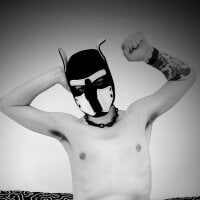 cruiserpup