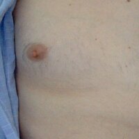 PrecumBull offline chatrum