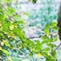 CluttavillaBn 아바타 사진